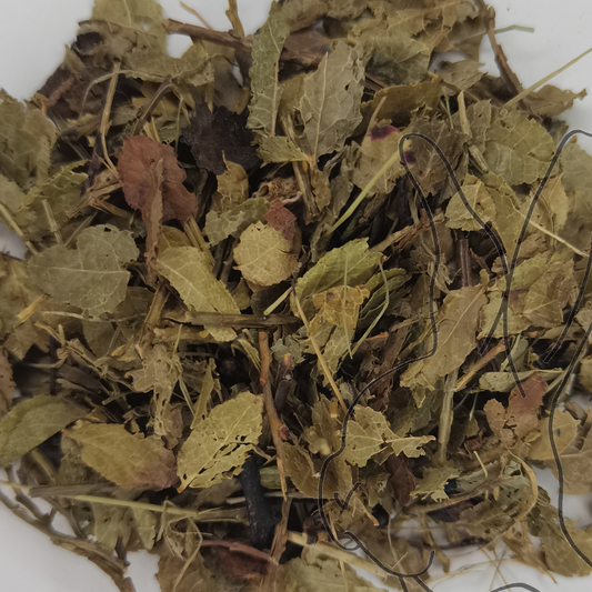 hoja de arándano