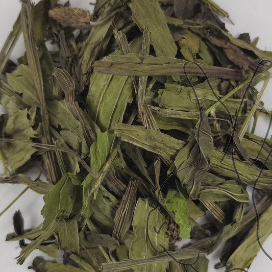 hoja de llantén menor