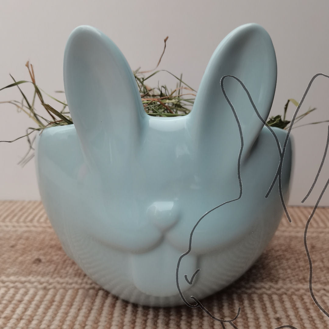 Bowl bunny blue