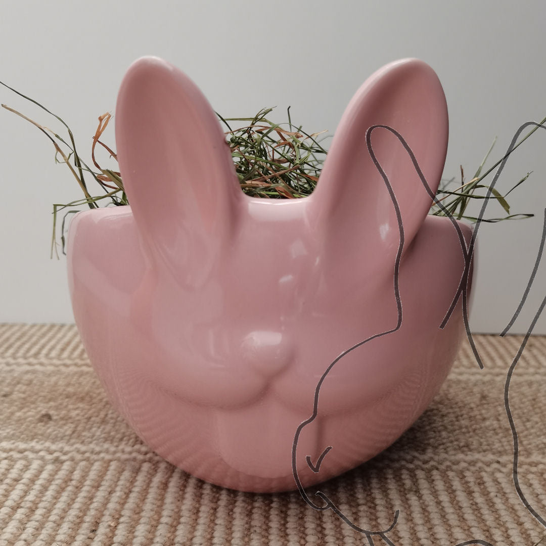 Bowl bunny pink