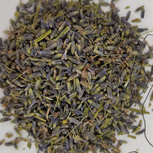 flor de lavanda